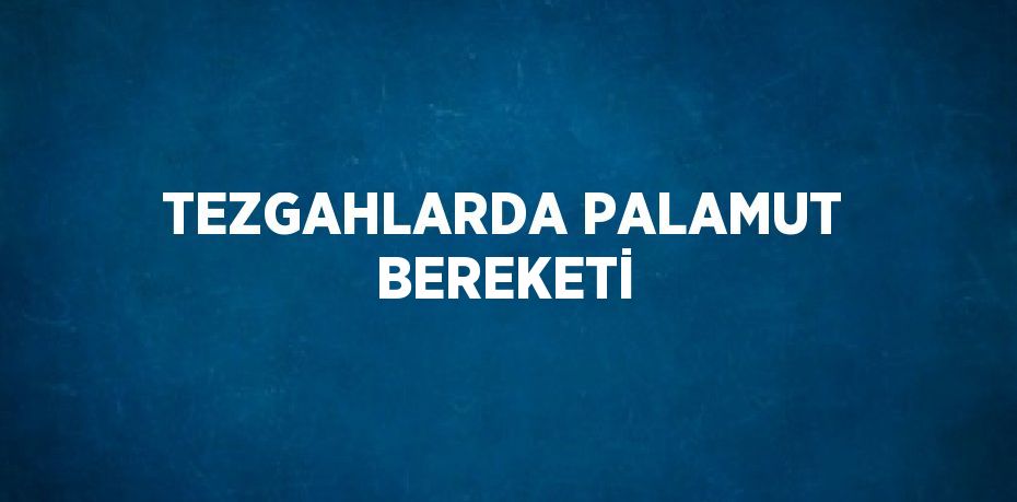 TEZGAHLARDA PALAMUT BEREKETİ