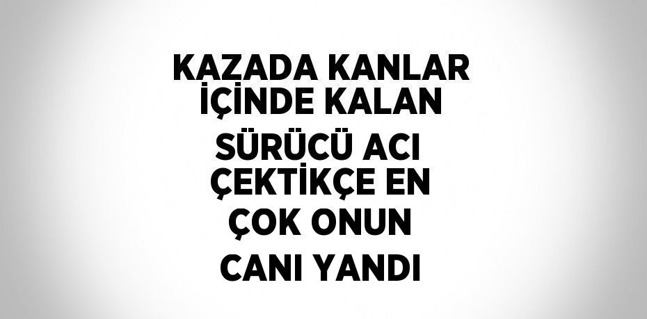 KAZADA KANLAR İÇİNDE KALAN SÜRÜCÜ ACI ÇEKTİKÇE EN ÇOK ONUN CANI YANDI