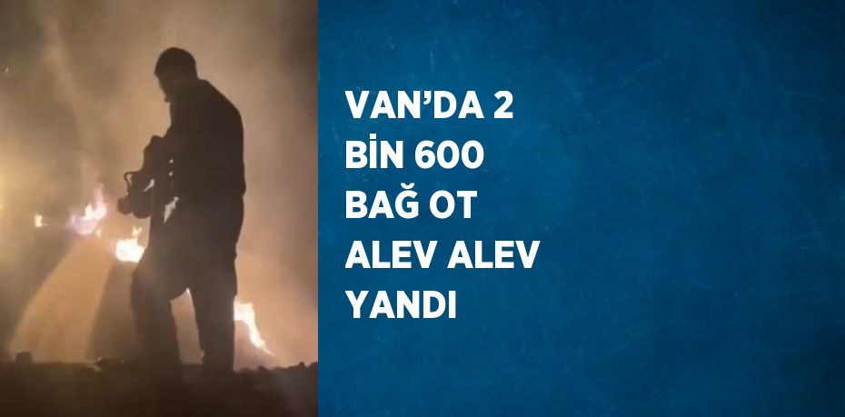 VAN’DA 2 BİN 600 BAĞ OT ALEV ALEV YANDI