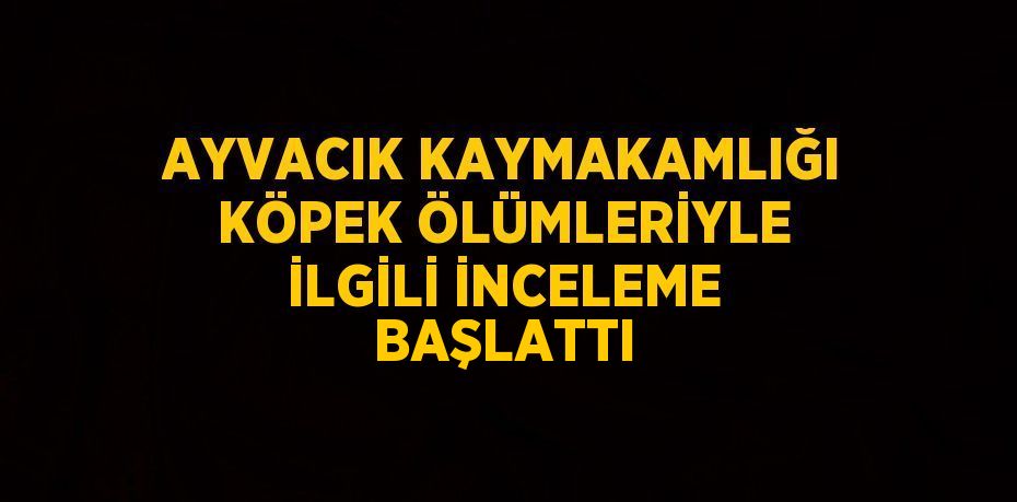 AYVACIK KAYMAKAMLIĞI KÖPEK ÖLÜMLERİYLE İLGİLİ İNCELEME BAŞLATTI