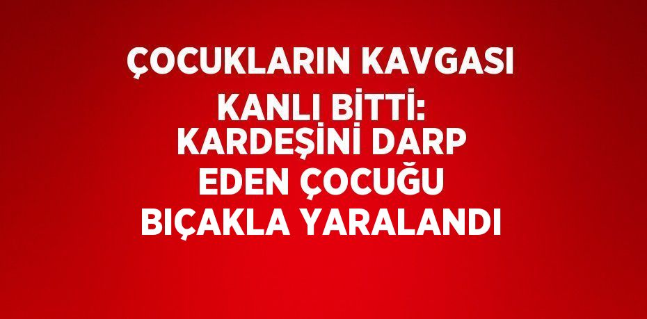 ÇOCUKLARIN KAVGASI KANLI BİTTİ: KARDEŞİNİ DARP EDEN ÇOCUĞU BIÇAKLA YARALANDI