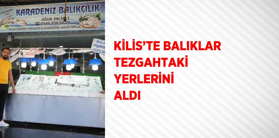 KİLİS’TE BALIKLAR TEZGAHTAKİ YERLERİNİ ALDI