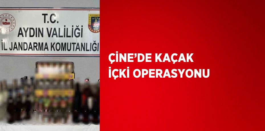 ÇİNE’DE KAÇAK İÇKİ OPERASYONU