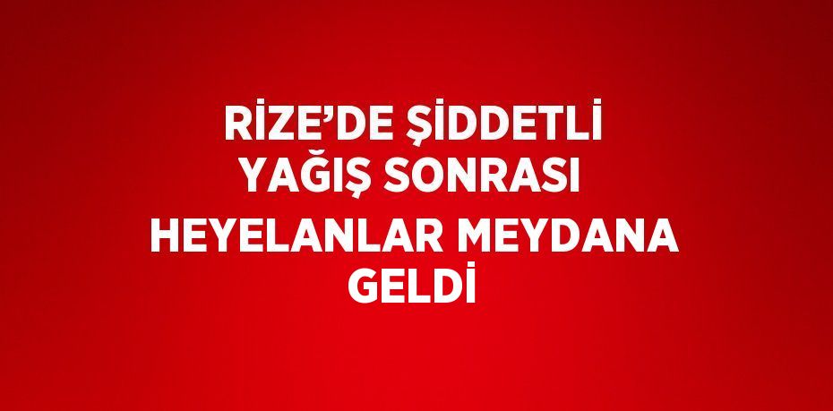 RİZE’DE ŞİDDETLİ YAĞIŞ SONRASI HEYELANLAR MEYDANA GELDİ