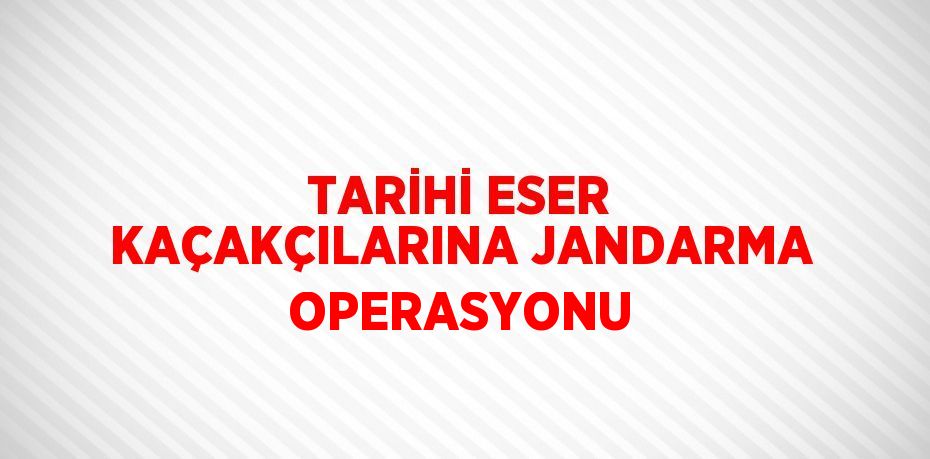 TARİHİ ESER KAÇAKÇILARINA JANDARMA OPERASYONU