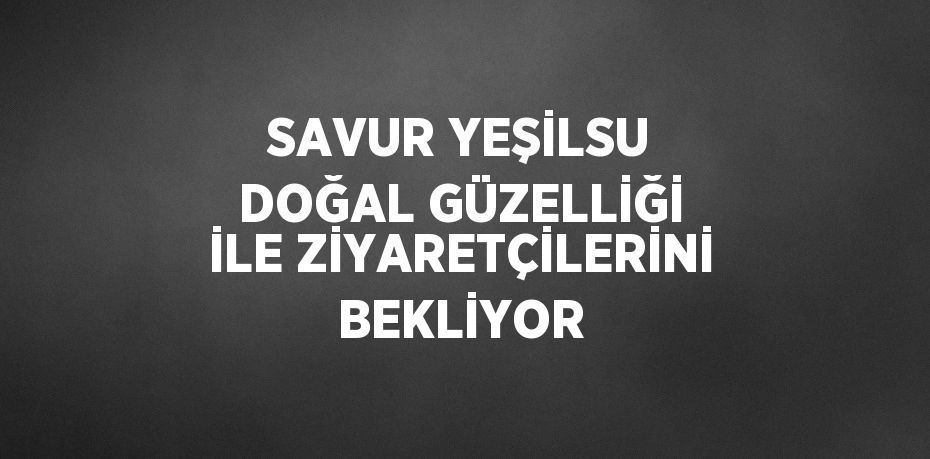 SAVUR YEŞİLSU DOĞAL GÜZELLİĞİ İLE ZİYARETÇİLERİNİ BEKLİYOR