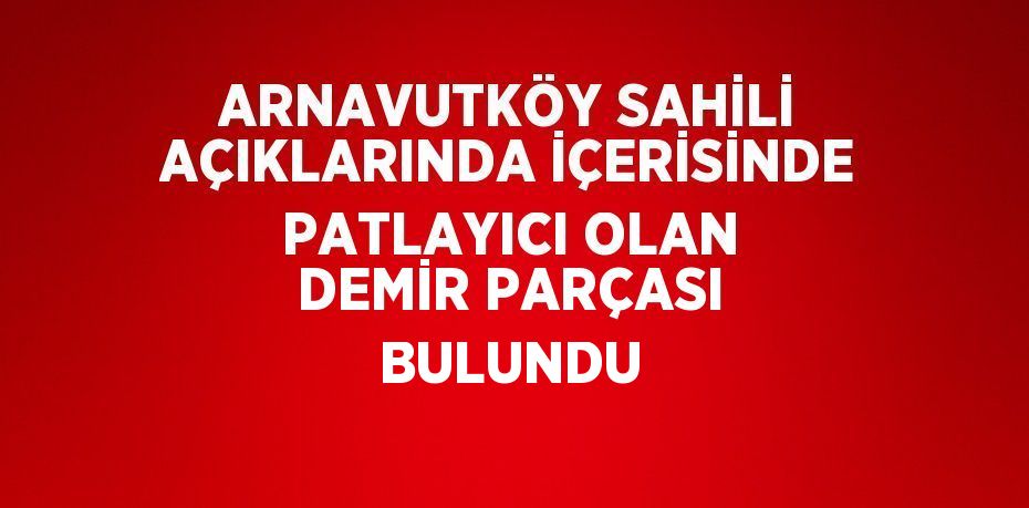 ARNAVUTKÖY SAHİLİ AÇIKLARINDA İÇERİSİNDE PATLAYICI OLAN DEMİR PARÇASI BULUNDU