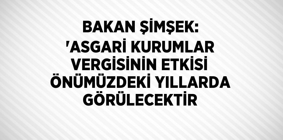 BAKAN ŞİMŞEK: 'ASGARİ KURUMLAR VERGİSİNİN ETKİSİ ÖNÜMÜZDEKİ YILLARDA GÖRÜLECEKTİR