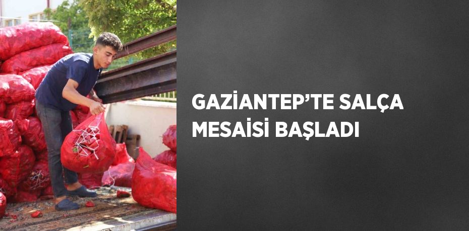 GAZİANTEP’TE SALÇA MESAİSİ BAŞLADI