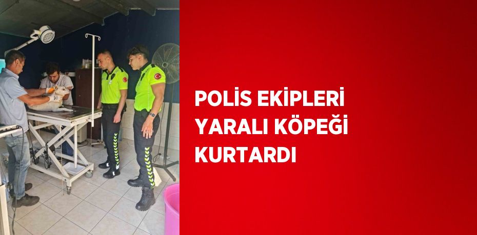 POLİS EKİPLERİ YARALI KÖPEĞİ KURTARDI