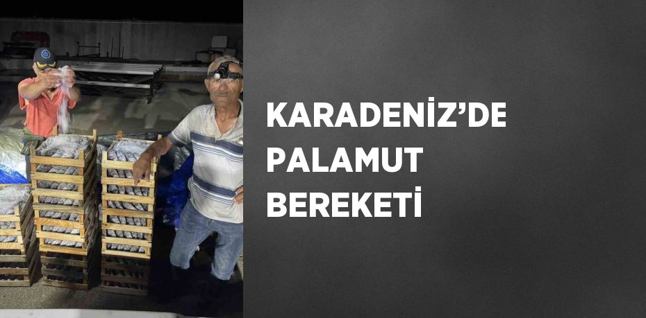 KARADENİZ’DE PALAMUT BEREKETİ