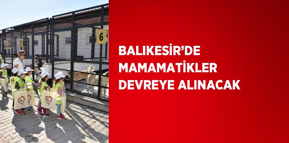 BALIKESİR’DE MAMAMATİKLER DEVREYE ALINACAK