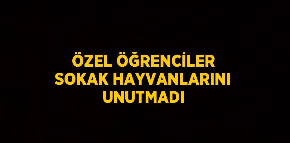 ÖZEL ÖĞRENCİLER SOKAK HAYVANLARINI UNUTMADI