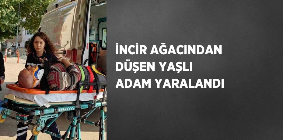 İNCİR AĞACINDAN DÜŞEN YAŞLI ADAM YARALANDI