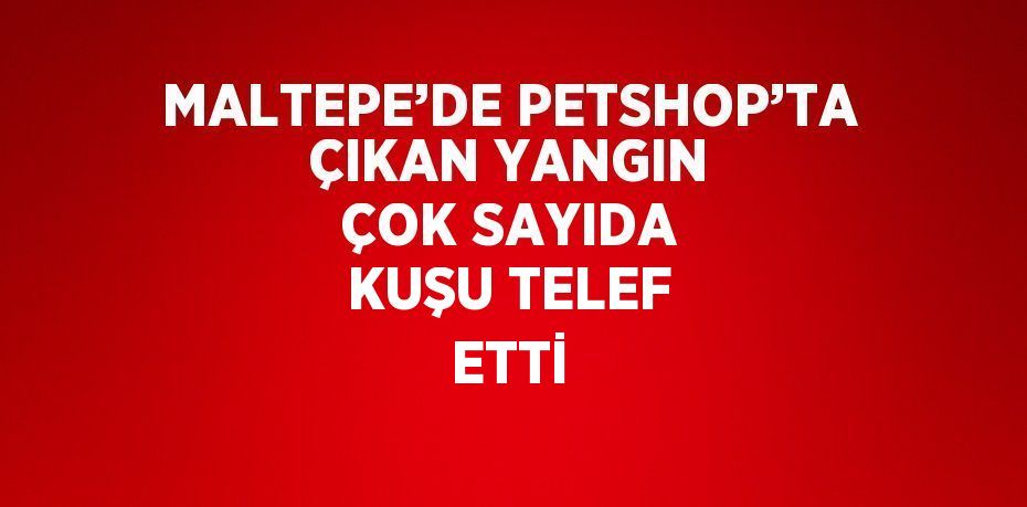 MALTEPE’DE PETSHOP’TA ÇIKAN YANGIN ÇOK SAYIDA KUŞU TELEF ETTİ