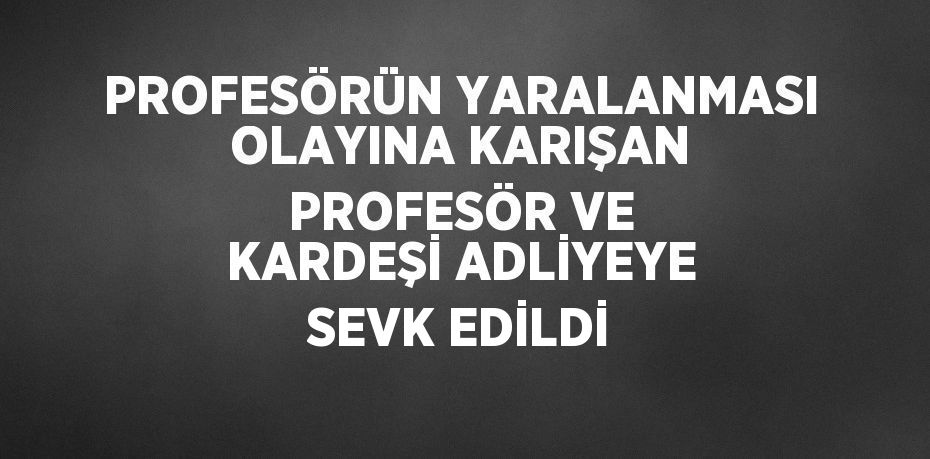 PROFESÖRÜN YARALANMASI OLAYINA KARIŞAN PROFESÖR VE KARDEŞİ ADLİYEYE SEVK EDİLDİ