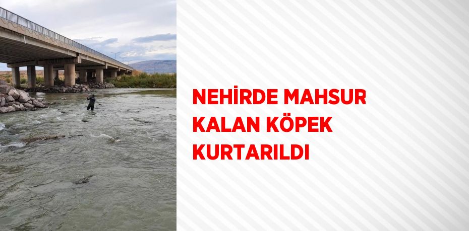 NEHİRDE MAHSUR KALAN KÖPEK KURTARILDI