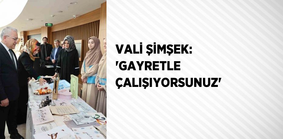 VALİ ŞİMŞEK: 'GAYRETLE ÇALIŞIYORSUNUZ'