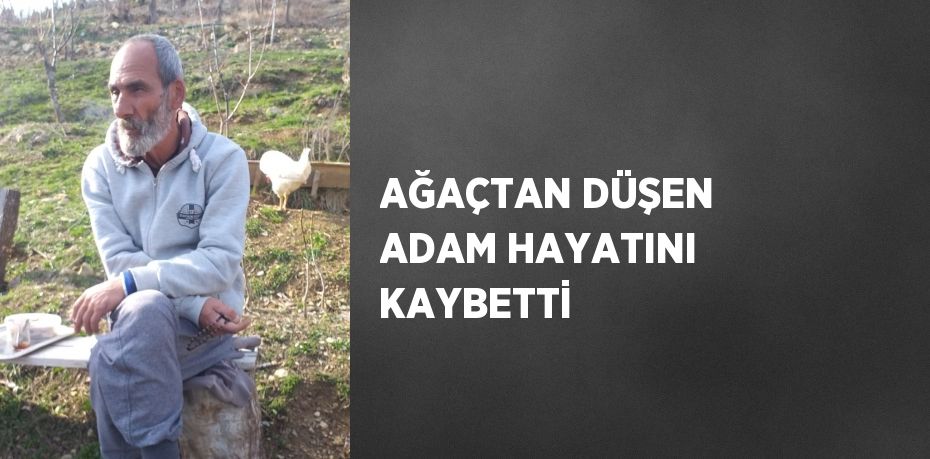 AĞAÇTAN DÜŞEN ADAM HAYATINI KAYBETTİ