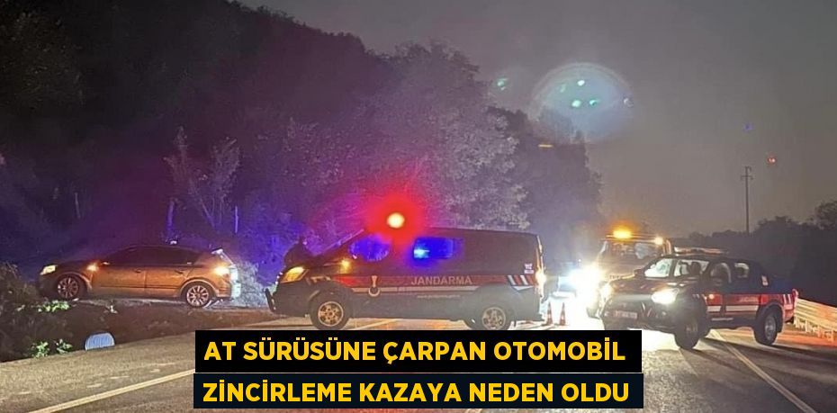 AT SÜRÜSÜNE ÇARPAN OTOMOBİL ZİNCİRLEME KAZAYA NEDEN OLDU