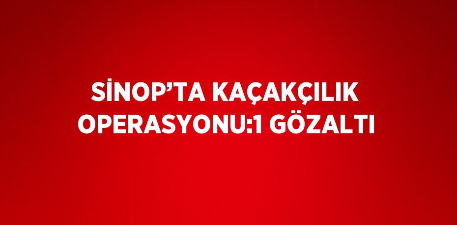 SİNOP’TA KAÇAKÇILIK OPERASYONU:1 GÖZALTI