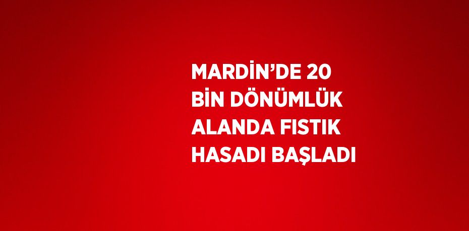 MARDİN’DE 20 BİN DÖNÜMLÜK ALANDA FISTIK HASADI BAŞLADI