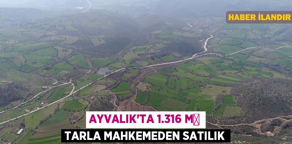 Ayvalık'ta 1.316 m² tarla mahkemeden satılık