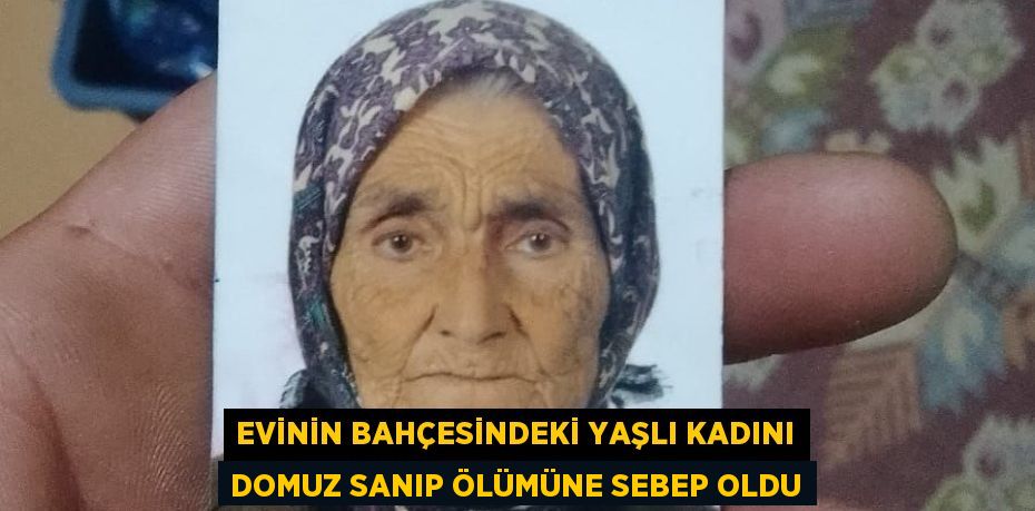 EVİNİN BAHÇESİNDEKİ YAŞLI KADINI DOMUZ SANIP ÖLÜMÜNE SEBEP OLDU