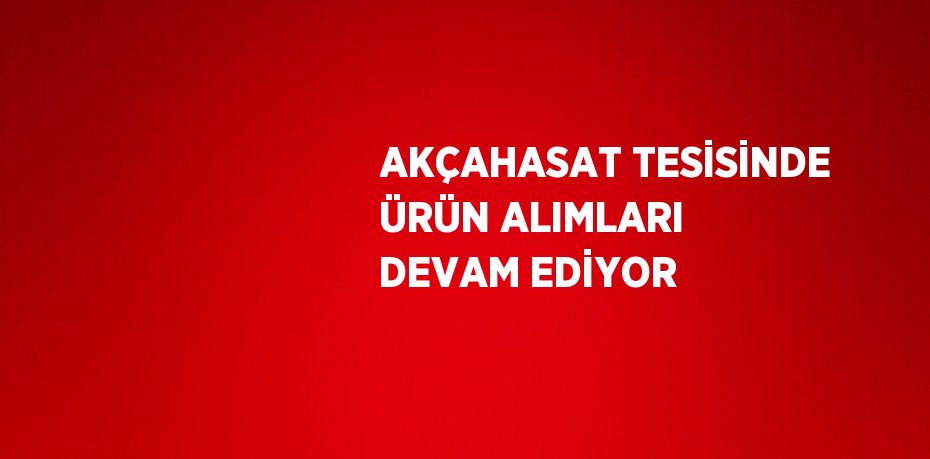 AKÇAHASAT TESİSİNDE ÜRÜN ALIMLARI DEVAM EDİYOR