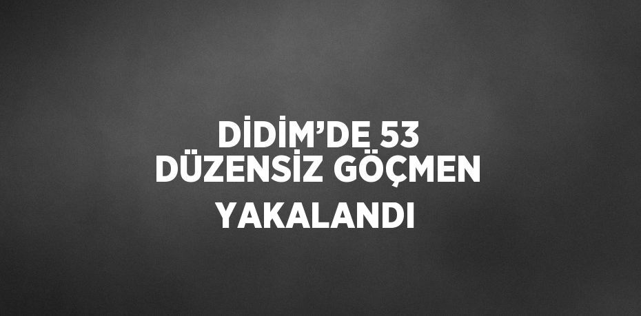 DİDİM’DE 53 DÜZENSİZ GÖÇMEN YAKALANDI