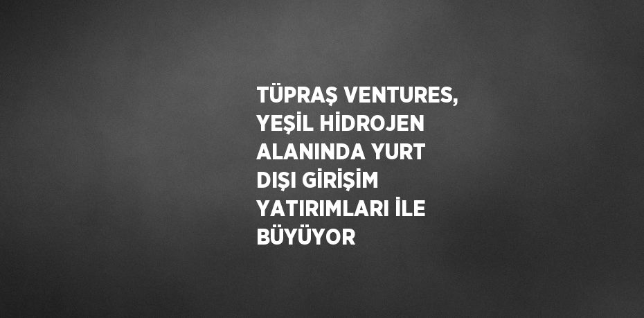 TÜPRAŞ VENTURES, YEŞİL HİDROJEN ALANINDA YURT DIŞI GİRİŞİM YATIRIMLARI İLE BÜYÜYOR