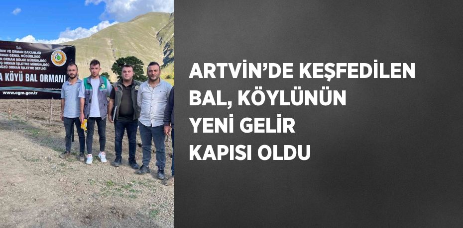 ARTVİN’DE KEŞFEDİLEN BAL, KÖYLÜNÜN YENİ GELİR KAPISI OLDU