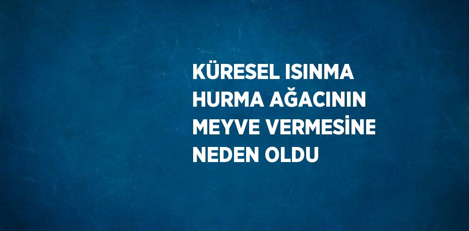 KÜRESEL ISINMA HURMA AĞACININ MEYVE VERMESİNE NEDEN OLDU