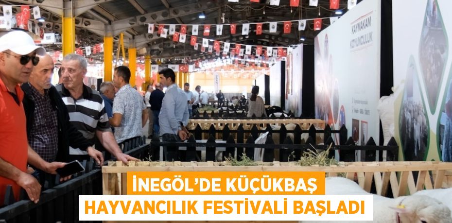 İNEGÖL’DE KÜÇÜKBAŞ HAYVANCILIK FESTİVALİ BAŞLADI