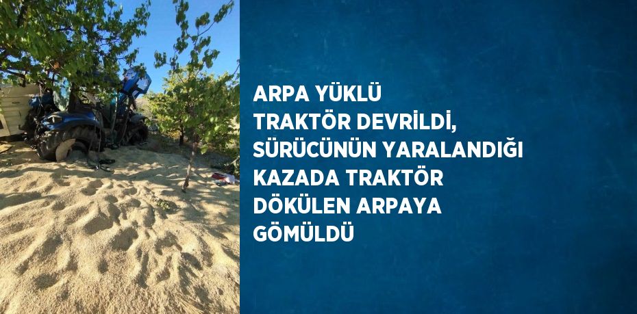 ARPA YÜKLÜ TRAKTÖR DEVRİLDİ, SÜRÜCÜNÜN YARALANDIĞI KAZADA TRAKTÖR DÖKÜLEN ARPAYA GÖMÜLDÜ