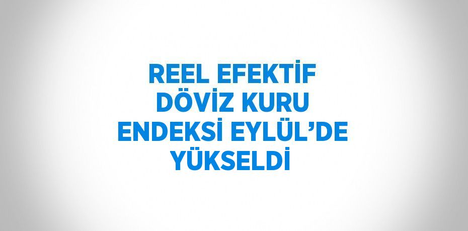 REEL EFEKTİF DÖVİZ KURU ENDEKSİ EYLÜL’DE YÜKSELDİ