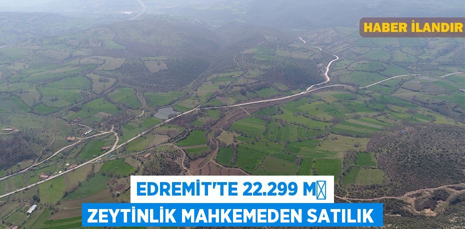 Edremit'te 22.299 m² zeytinlik mahkemeden satılık