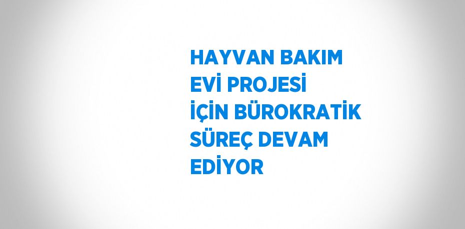 HAYVAN BAKIM EVİ PROJESİ İÇİN BÜROKRATİK SÜREÇ DEVAM EDİYOR