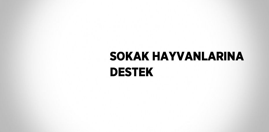 SOKAK HAYVANLARINA DESTEK