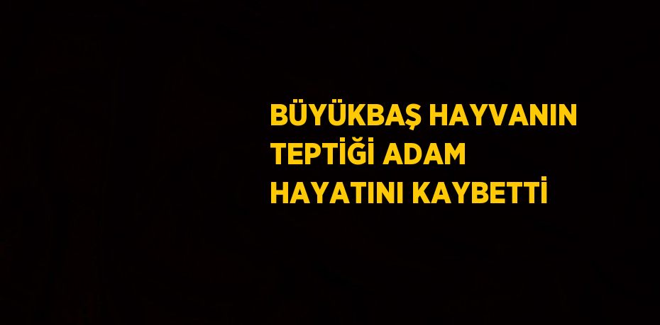 BÜYÜKBAŞ HAYVANIN TEPTİĞİ ADAM HAYATINI KAYBETTİ