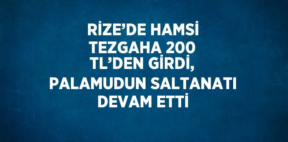 RİZE’DE HAMSİ TEZGAHA 200 TL’DEN GİRDİ, PALAMUDUN SALTANATI DEVAM ETTİ