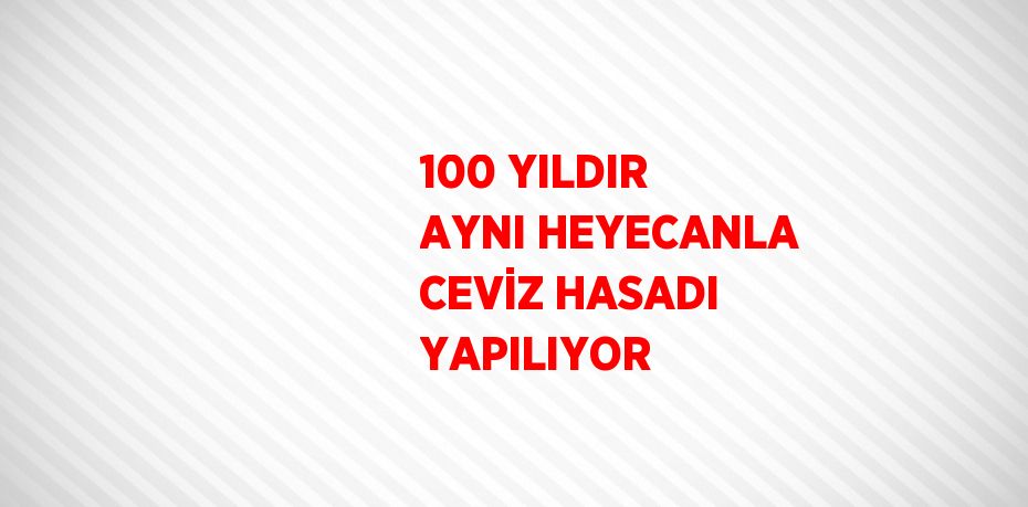 100 YILDIR AYNI HEYECANLA CEVİZ HASADI YAPILIYOR