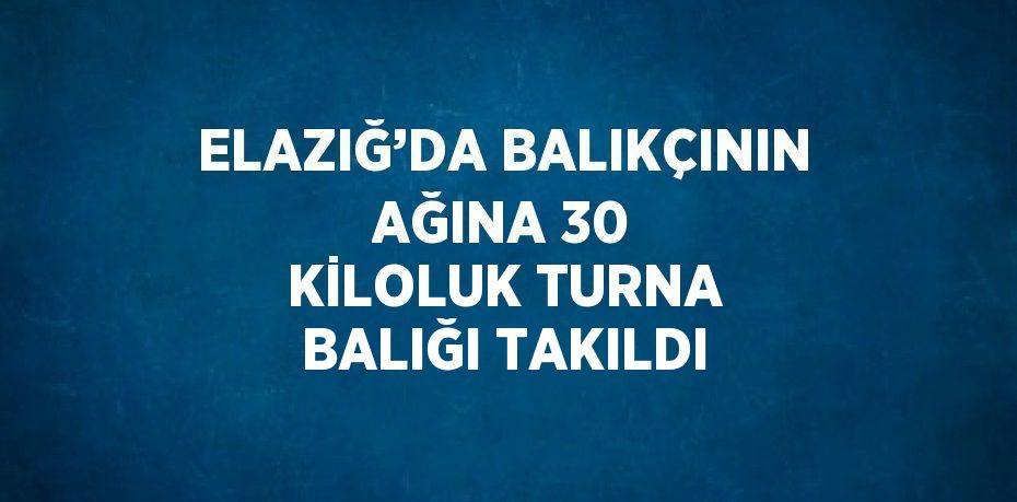 ELAZIĞ’DA BALIKÇININ AĞINA 30 KİLOLUK TURNA BALIĞI TAKILDI