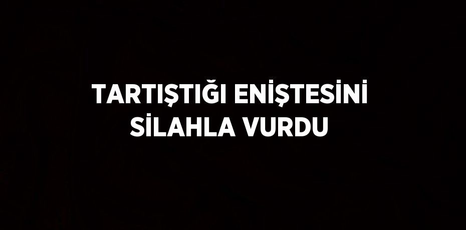 TARTIŞTIĞI ENİŞTESİNİ SİLAHLA VURDU