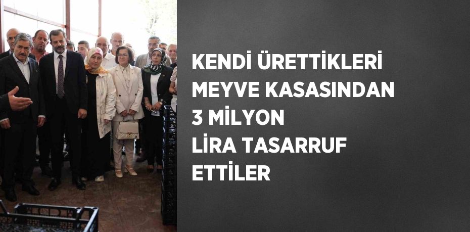 KENDİ ÜRETTİKLERİ MEYVE KASASINDAN 3 MİLYON LİRA TASARRUF ETTİLER