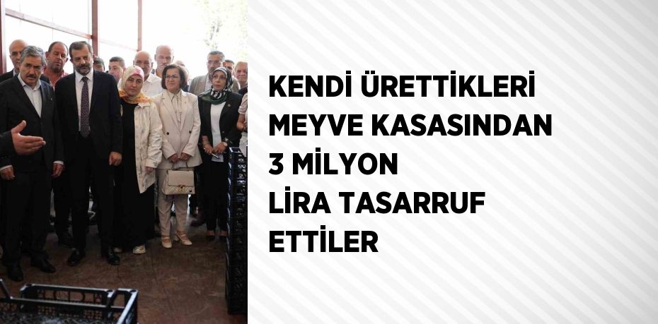 KENDİ ÜRETTİKLERİ MEYVE KASASINDAN 3 MİLYON LİRA TASARRUF ETTİLER