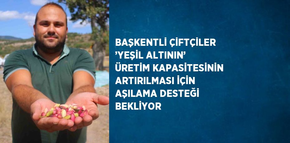 BAŞKENTLİ ÇİFTÇİLER ’YEŞİL ALTININ’ ÜRETİM KAPASİTESİNİN ARTIRILMASI İÇİN AŞILAMA DESTEĞİ BEKLİYOR