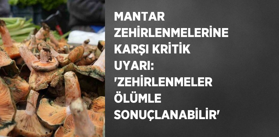 MANTAR ZEHİRLENMELERİNE KARŞI KRİTİK UYARI:  'ZEHİRLENMELER ÖLÜMLE SONUÇLANABİLİR'