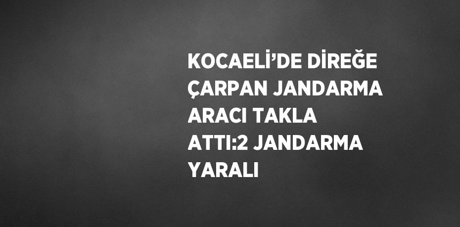 KOCAELİ’DE DİREĞE ÇARPAN JANDARMA ARACI TAKLA ATTI:2 JANDARMA YARALI