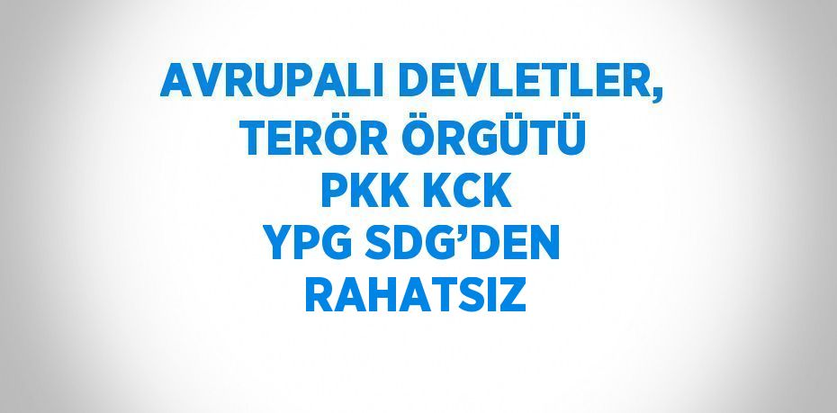 AVRUPALI DEVLETLER, TERÖR ÖRGÜTÜ PKK KCK YPG SDG’DEN RAHATSIZ